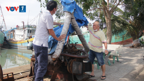 Gỡ khó cho tàu cá “lỡ” thay máy cũ (29/10/2024)