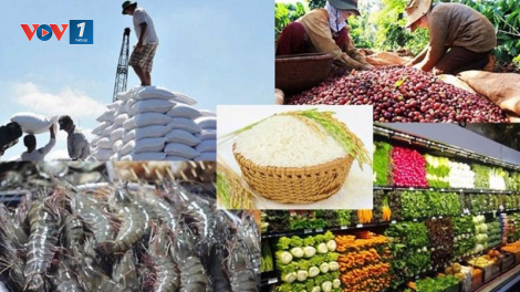 THỜI SỰ 12H TRƯA 4/10/2024: 9 tháng qua, xuất siêu nhóm hàng nông lâm, thủy sản đạt gần 14 tỷ USD, tăng hơn 71% so với cùng kỳ.