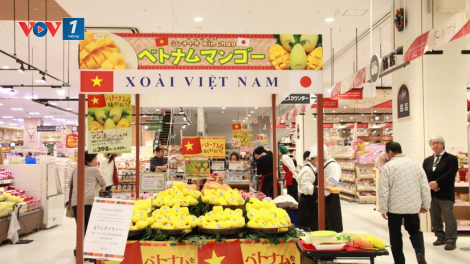 Tự hào nông sản Việt (28/10/2024)