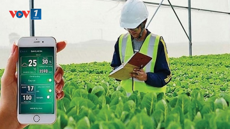 Đẩy mạnh ứng dụng khoa học công nghệ trong xây dựng nông thôn mới (03/11/2024)