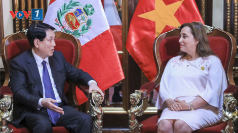 Chủ tịch nước Lương Cường Hội đàm với Tổng thống Cộng hòa Peru Dina Boluarte (14/11/2024)
