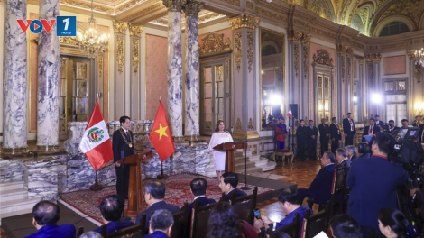 Chủ tịch nước Lương Cường và Tổng thống Peru gặp gỡ báo chí (14/11/2024)