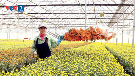 Chuyển đổi số: Bước tiến vững chắc cho nông sản Việt (15/11/2024)