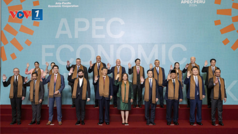 Việt Nam sẽ tiếp tục đóng góp tích cực và triển khai hiệu quả các định hướng hợp tác APEC (17/11/2024)