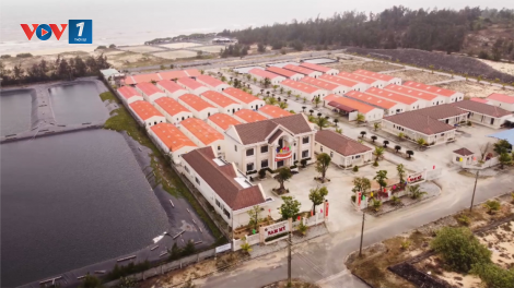 Quảng Nam: Đầu tư phát triển nông nghiệp xanh (21/11/2024)