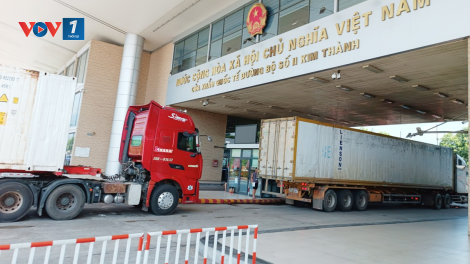 Tổng thu ngân sách nhà nước trên địa bàn tỉnh Lào Cai đã vượt qua mốc dự toán trung ương giao (27/11/2024)