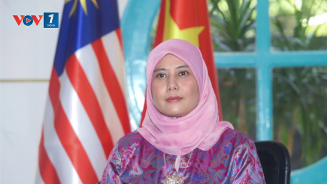 Quan hệ Đối tác Chiến lược Việt Nam - Malaysia có nhiều tiềm năng phát triển mạnh mẽ (20/11/2024)