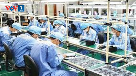 Đổi mới công tác đào tạo nguồn nhân lực chất lượng cao (26/11/2024)