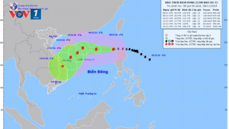 THỜI SỰ 12H TRƯA 8/11/2024: Gần 70.000 tàu thuyền đã được thông tin về bão số 7.