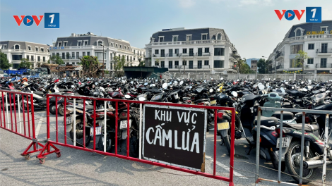 Quảng Ninh: Quá tải các bãi trông giữ xe vi phạm giao thông (06/11/2024)