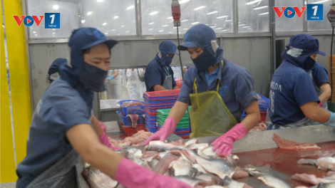 Xuất khẩu thủy sản của Việt Nam sẽ đạt trên 10 tỷ USD (27/11/2024)