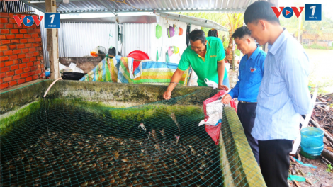 Thanh niên Khmer khởi nghiệp, xây dựng được mô hình kinh tế hiệu quả (08/11/2024)