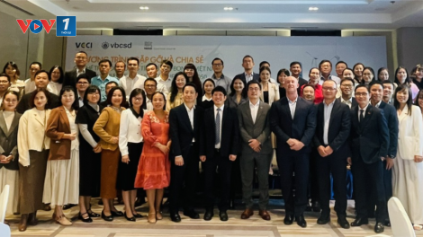 Định hướng doanh nghiệp xây dựng chương trình phù hợp trao đổi hạn ngạch phát thải, tín chỉ carbon (29/11/2024)