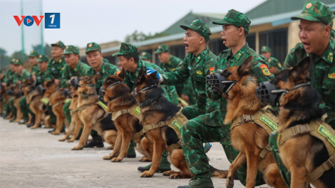 Đội quân khuyển đặc biệt sẽ ghi dấu ấn tại Khai mạc Triển lãm Quốc phòng Quốc tế Việt Nam 2024 (30/11/2024)