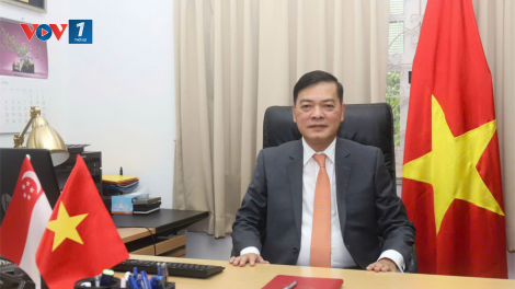 Đưa quan hệ hữu nghị và hợp tác toàn diện Việt Nam-Singapore lên tầm cao mới (30/11/2024)