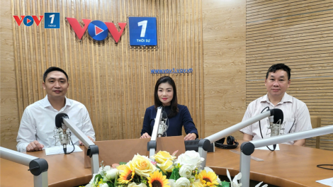 Nâng cao vị thế Thương hiệu Quốc gia Việt Nam trong kỷ nguyên mới (10/11/2024)