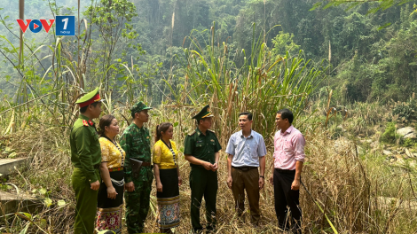 Giải bài toán giảm nghèo cho đồng bào dân tộc thiểu số Tây Nguyên (14/11/2024)