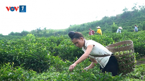Bắc Giang xây dựng nông thôn mới vùng dân tộc thiểu số (19/11/2024)