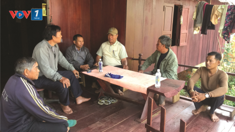Bản tin tiếp cận pháp luật (04/11/2024)