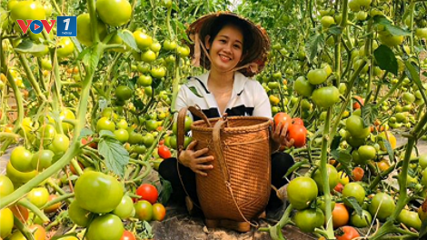 Nông sản hữu cơ: Từ xu thế toàn cầu đến tiềm năng của Việt Nam (08/11/2024)