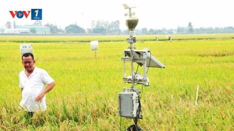 Ứng dụng công nghệ viễn thám trong dự báo sản xuất nông nghiệp tại khu vực ĐBSCL (01/11/2024)
