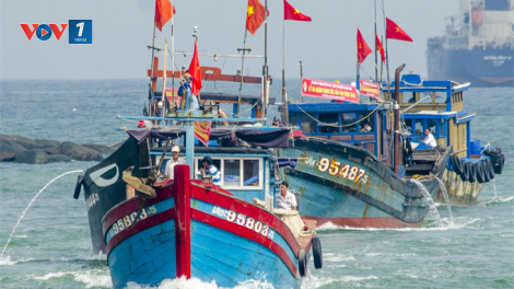 Kiến thức cho ngư dân tàu cá vươn khơi mùa mưa bão (18/11/2024)