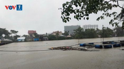 THỜI SỰ 18H CHIỀU 25/11/2024: Mưa lũ gây ngập sâu nhiều khu vực ở tỉnh Thừa Thiên Huế và Quảng Nam. Hàng trăm người đã phải di dời khẩn cấp