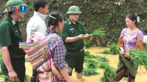 Quân đội tham gia phát triển kinh tế, xoá đói giảm nghèo (26/11/2024)