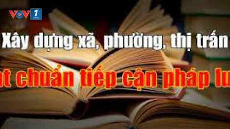 Bản tin tiếp cận pháp luật (08/11/2024)
