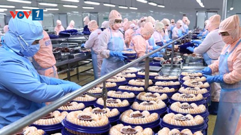 Xuất khẩu thủy sản trên đà phục hồi hướng đến mục tiêu 10 tỷ đô la Mỹ (10/11/2024)