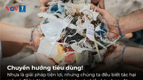 Tác động của xu hướng tiêu dùng bền vững: Cơ hội & thách thức cho doanh nghiệp Việt Nam (17/11/2024)