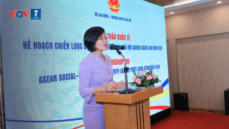 Hội thảo quốc tế về Kế hoạch Chiến lược của Cộng đồng Văn hóa-Xã hội ASEAN sau năm 2025 (05/11/2024)