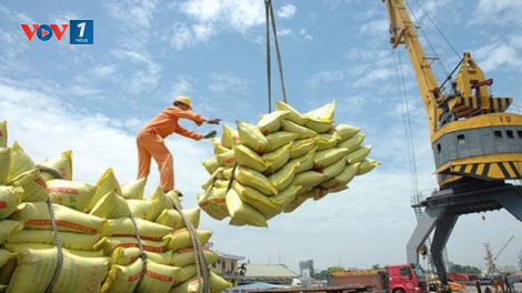 THỜI SỰ 6H SÁNG 9/12/2024: Xuất khẩu gạo lập kỷ lục mới khi vượt mốc 5 tỷ 300 triệu đô la.