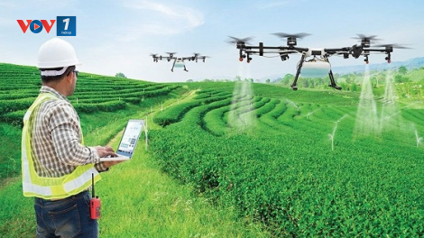 Tiết kiệm chi phí trong sản xuất nông nghiệp (17/12/2024)