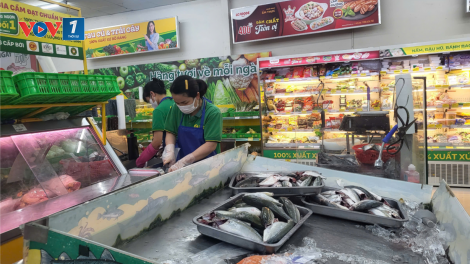 THỜI SỰ 21H30 ĐÊM 26/12/2024: Công ty Cổ phầnThương Mại Bách Hoá Xanh, tỉnh Đắc Lắc, thu hồi toàn bộ giá đỗ được cho là ngâm chất cấm từ nhà cung cấp.