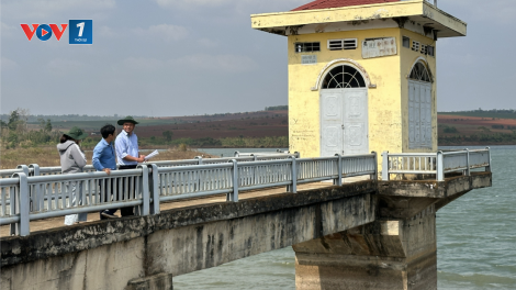 Đắk Lắk tăng cường các biện pháp ứng phó với mưa lũ (24/12/2024)