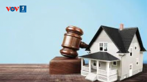 Luật Đấu giá tài sản sửa đổi: nâng cao tính chuyên nghiệp, đảm bảo công khai, minh bạch hoạt động đấu giá tài sản (03/12/2024)