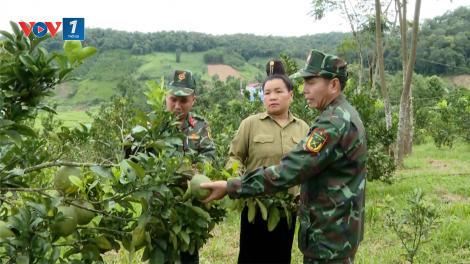 Đoàn 326 - bà đỡ giúp dân vùng biên giới thoát nghèo (20/12/2024)