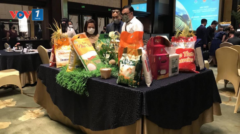 Kim ngạch xuất nhập khẩu Việt Nam và Philippine lần đầu tiên vượt mức 8 tỷ USD (28/12/2024)