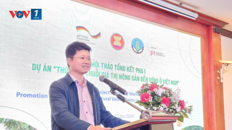 Giải pháp nâng cao hiệu quả sản xuất cây vụ đông 2024 (06/12/2024)