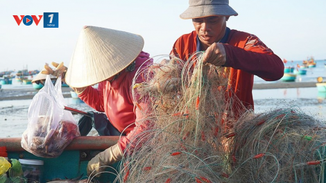Sinh kế cho ngư dân chuyển đổi nghề (18/12/2024)