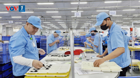 Cuối năm, nhiều doanh nghiệp Đà Nẵng kín đơn hàng (22/12/2024)