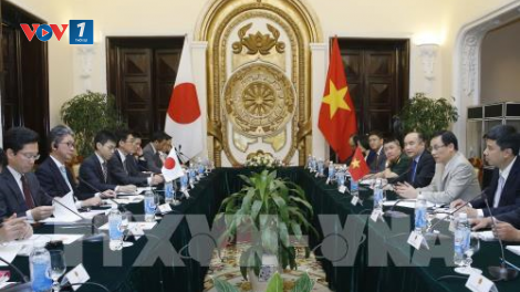 Sáng nay khai mạc Đối thoại chính sách chiến lược Việt Nam - Nhật Bản tại Tokyo (12/12/2024)
