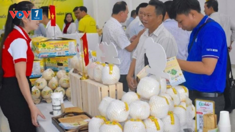 Dừa Việt – ngôi sao mới nổi trong câu lạc bộ xuất khẩu nông sản tỷ đô (24/12/2024)