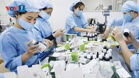 Công nghiệp dược sẽ được ưu tiên thế nào? (20/12/2024)