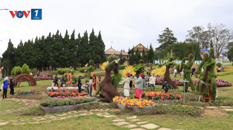 Đà Lạt nhộn nhịp trước giờ khai hội Festival hoa (5/12/2024)