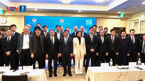 Diễn đàn Doanh nghiệp Việt Nam - Nhật Bản năm 2024: Cơ hội lớn để hai nước tăng cường kết nối kinh tế, thương mại, đầu tư (19/12/2024)