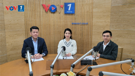 Khởi nghiệp sáng tạo: Một năm nhìn lại và những rào cản cần khơi thông (15/12/2024)