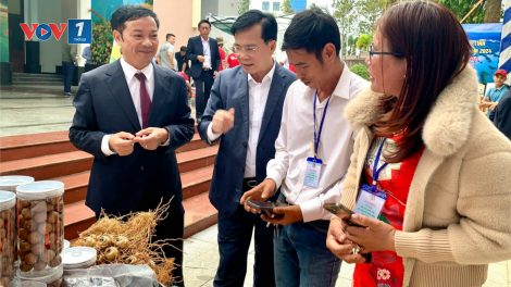 Vì sao nông dân Đắk Nông khó tiếp cận vốn ngân hàng? (28/12/2024)