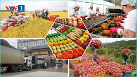 THỜI SỰ 6H SÁNG 26/12/2024: Do thời tiết bất lợi, giá nông sản tại nhiều địa phương đã tăng mạnh ngay trước Tết.